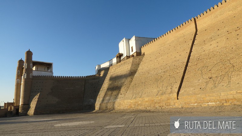 Grandes paredes de la fortaleza de Ark de Bukhara por fuera, con la luz del atardecer
